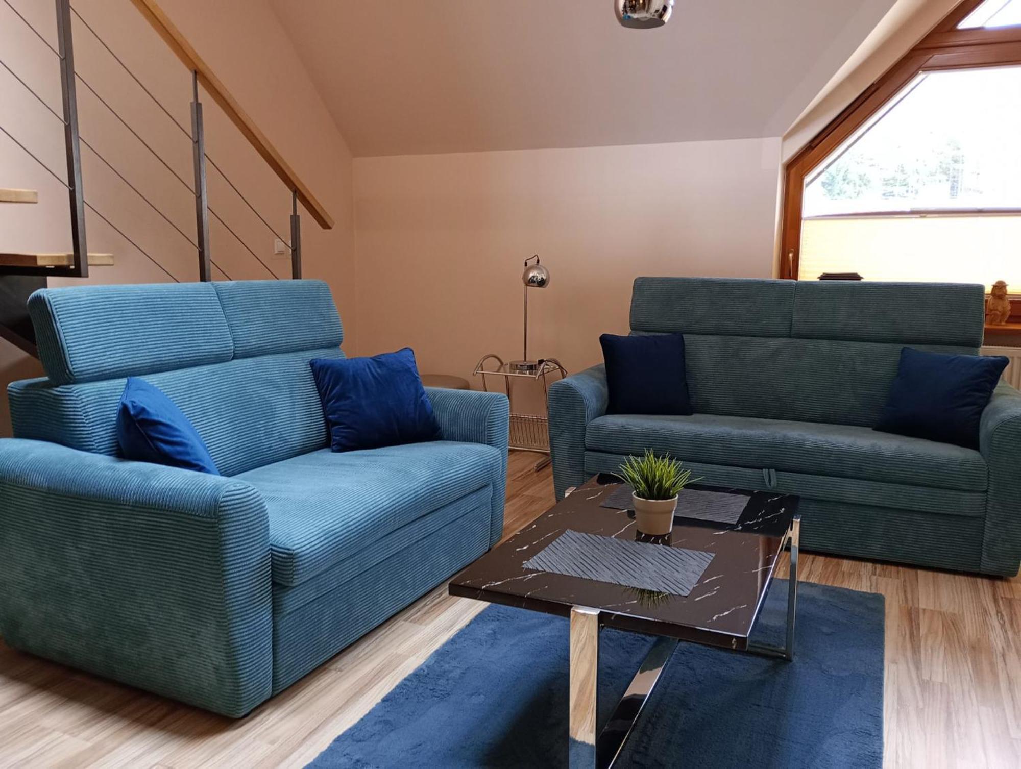Viva Maria Apartament Zakopane Dış mekan fotoğraf