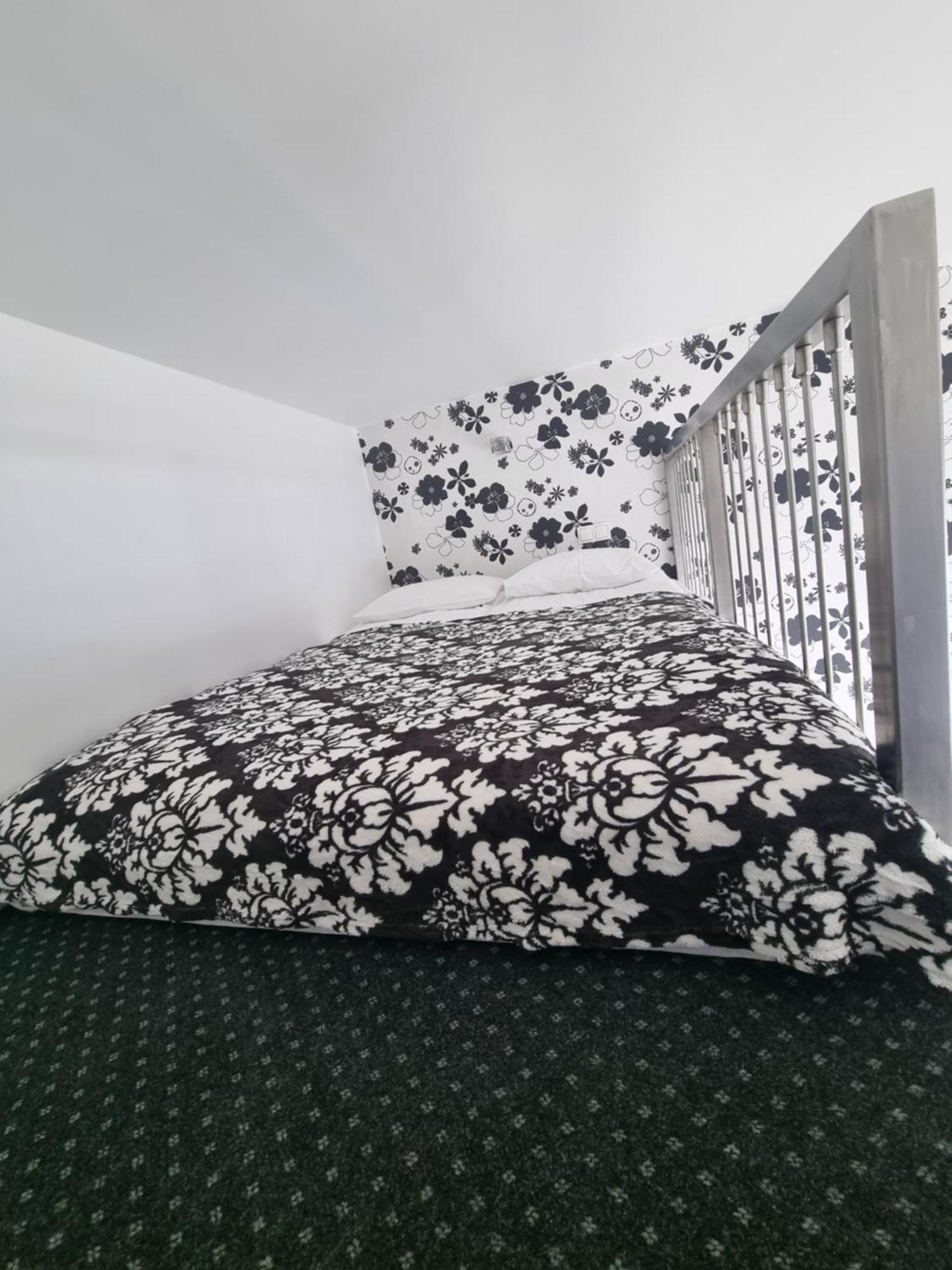 Viva Maria Apartament Zakopane Dış mekan fotoğraf